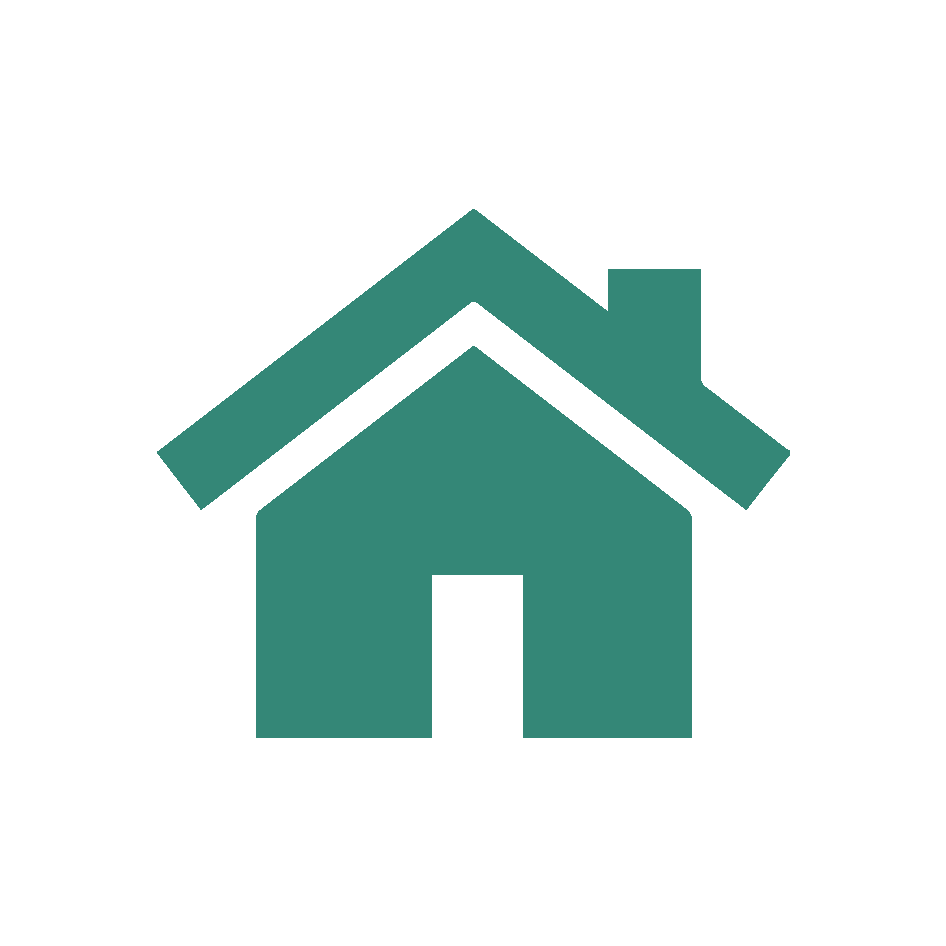 Green Domestic Cleaning Icon Green Domestic Cleaning Icon