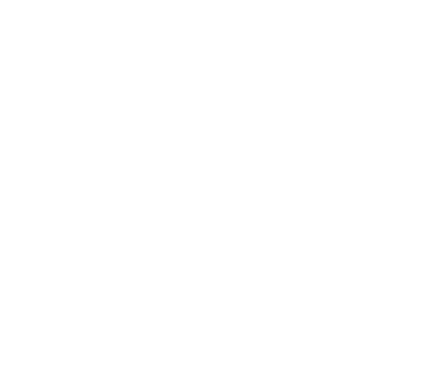 Domestic Cleaning Icon