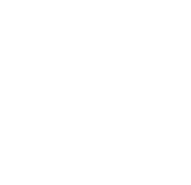 clean-house icon